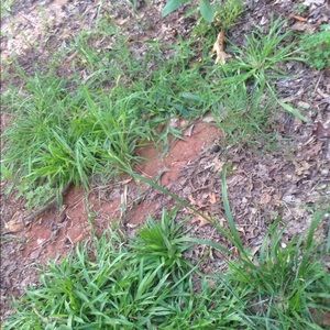 Meet your Posher, Jesse